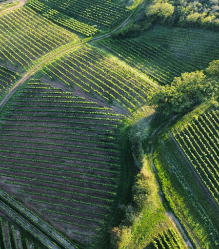 Agricultural</br> Spraying